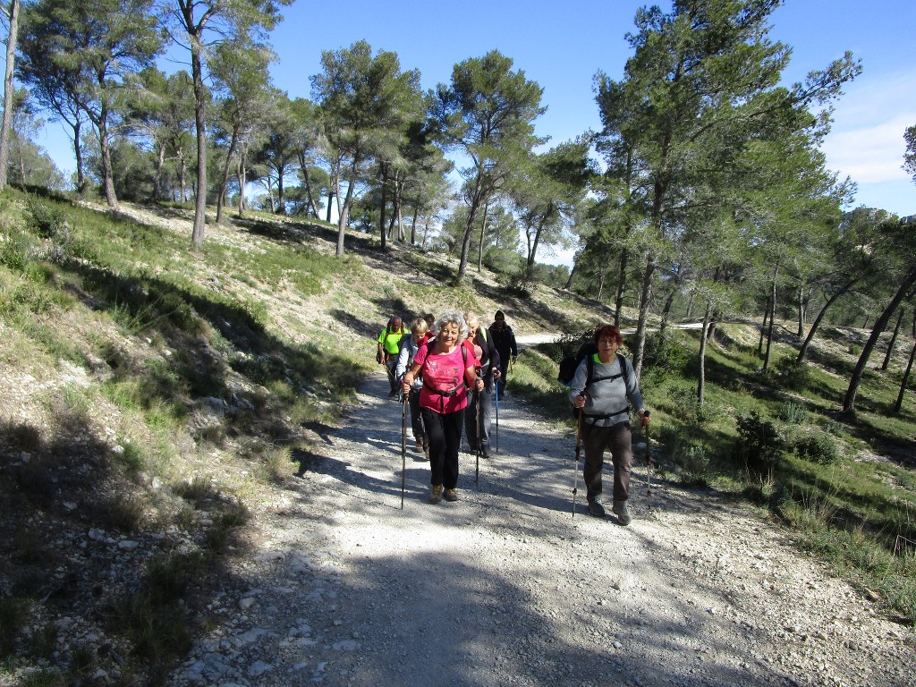 St Rémy-Plateau de la Caume-Mont Gaussier-Jeudi 14 mars 2019 A19Tpl