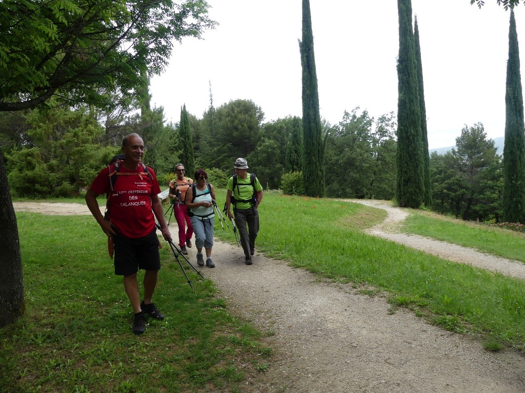 Oppède-Forêt des Cèdres-Jeudi 7 juin 2018 A6bKW6