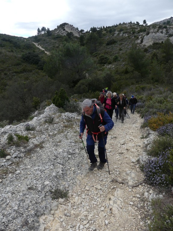 St Rémy-Plateau de la Caume-Mont Gaussier-Jeudi 14 mars 2019 AjrtBq