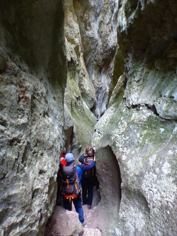 Lubéron-Vallon du Roumiguier, gorges de Régalon-Jeudi 10 mars 2022 CMwG3h