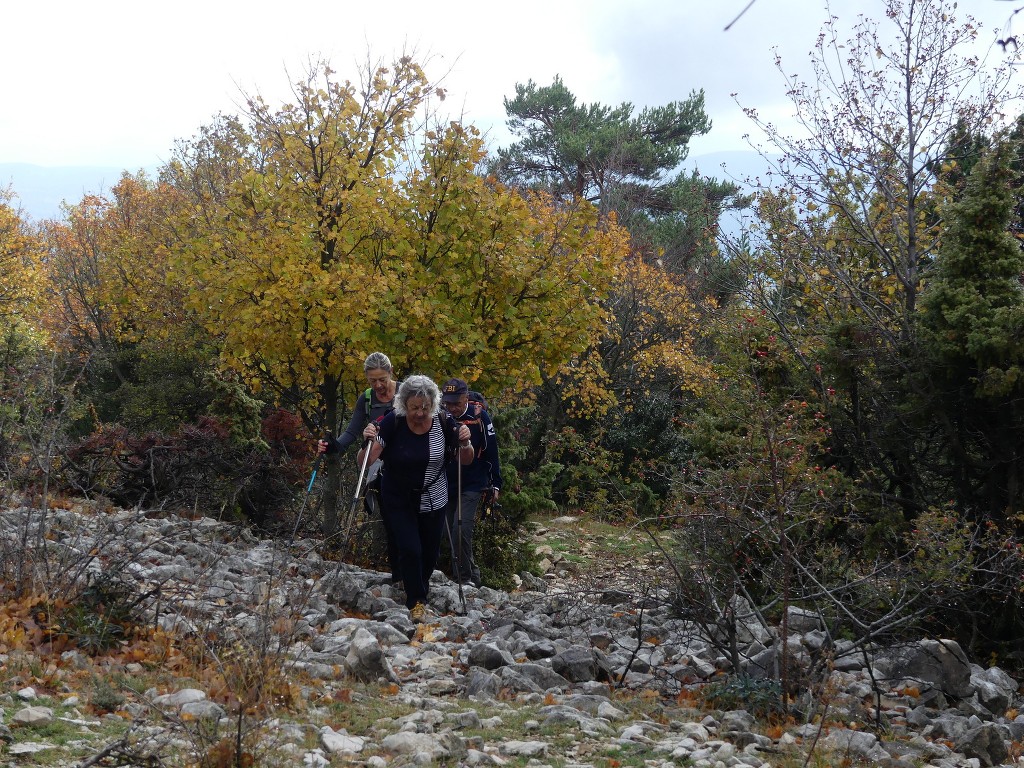 Les Jas du Ventoux sud-Jeudi 8 novembre 2018 CWz2Bp