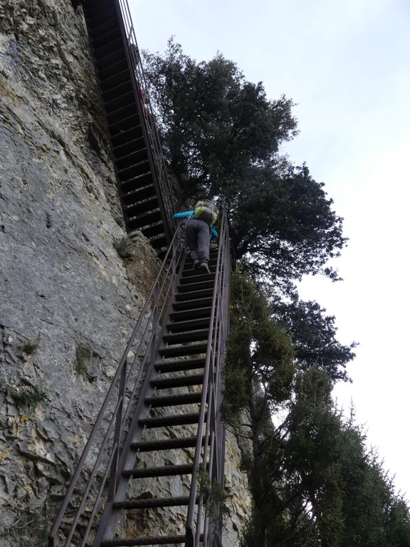 St Rémy-Plateau de la Caume-Mont Gaussier-Jeudi 14 mars 2019 Cm0rZM