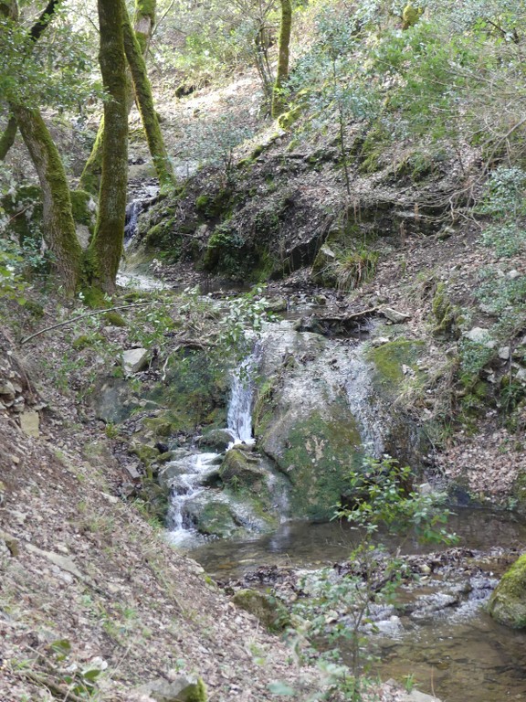 Méounes-Montrieux-Le Grand Puy-Jeudi 15 mars 2018 EZgYkS