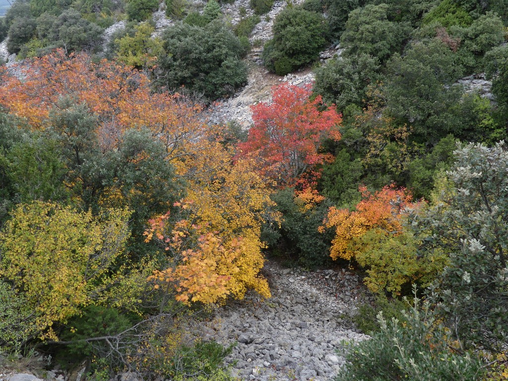 Les Jas du Ventoux sud-Jeudi 8 novembre 2018 Ei4Xeh