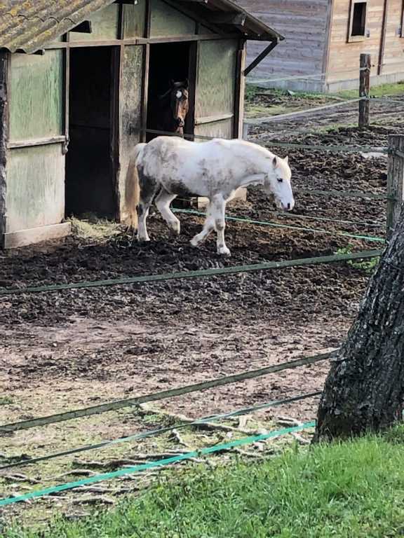 Gardanne-La Petite Pourcelle-Jeudi 28 janvier 2021 F8uudd