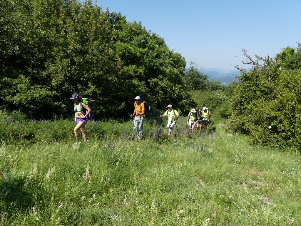 Pic St Cyr-Gorges de la Méouge-Jeudi 21 juin 2018 Fa4AeN