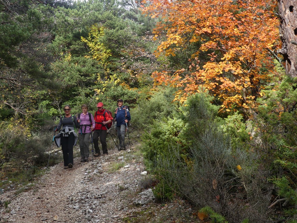 Les Jas du Ventoux sud-Jeudi 8 novembre 2018 INOPxy