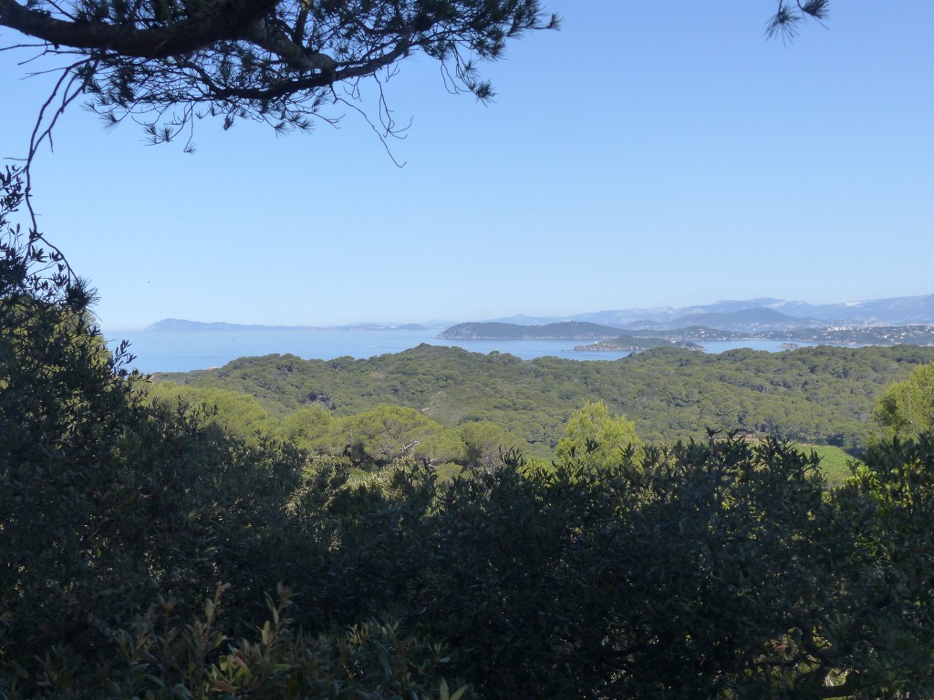 Porquerolles-Du Mont de Tièlo à la Galère-Jeudi 23 juin 2016 JUph7y