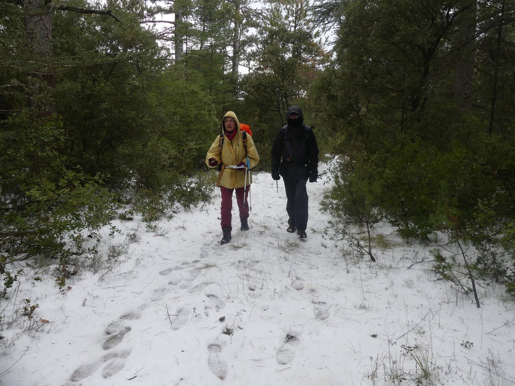 Meyrargues-Ligourès-Jeudi 1er mars 2018 KCrdjb