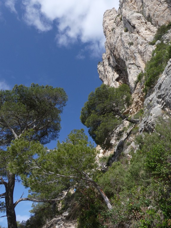 Mont Puget par l'Œil de Verre-Jeudi 3 mai 2018 KIx4av