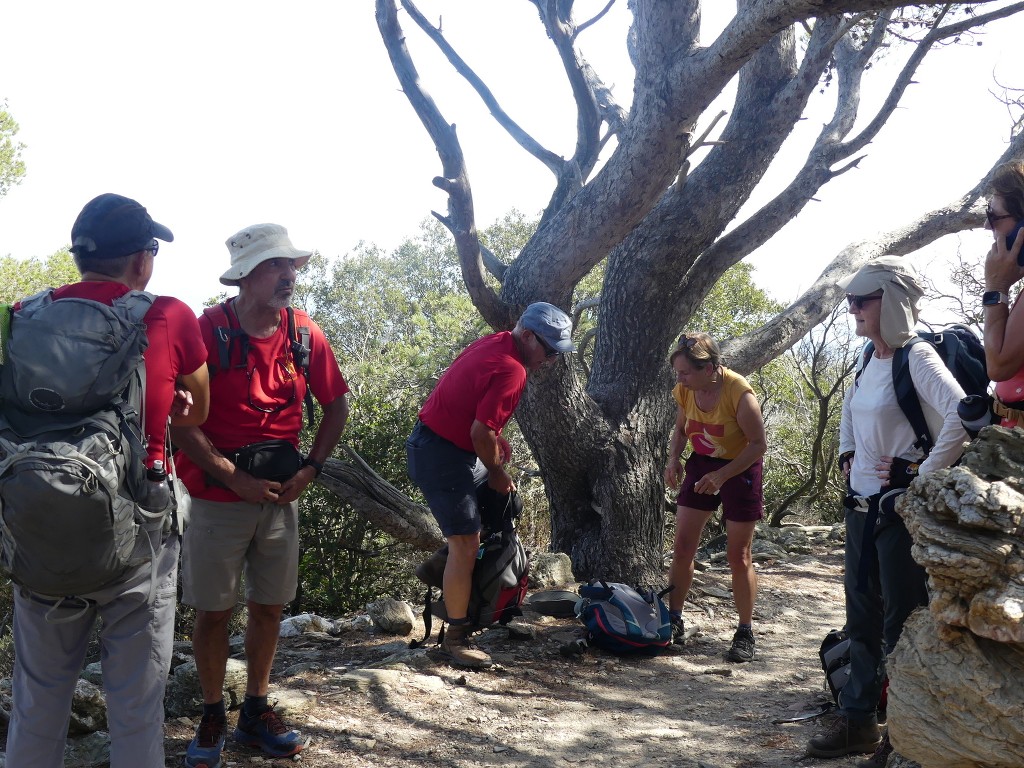 Randonnées à Porquerolles-Jeudi 16 juin 2022 KkFWl1