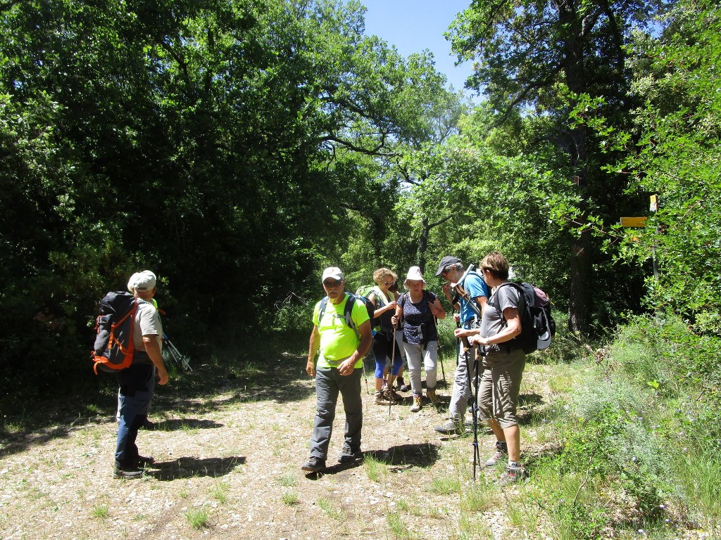 Lioux-Gorges de Vaumale-Jeudi 6 juin 2019 MqNcgU