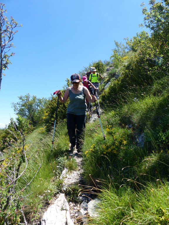 Mont St Cyr-Gorges de la Méouge-Jeudi 9 juin 2016 NGfODT