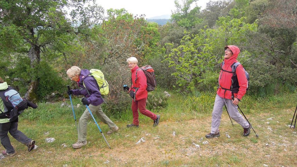 Rians-Montagne d'Artigues-Jeudi 27 avril 2017 Oab0gf