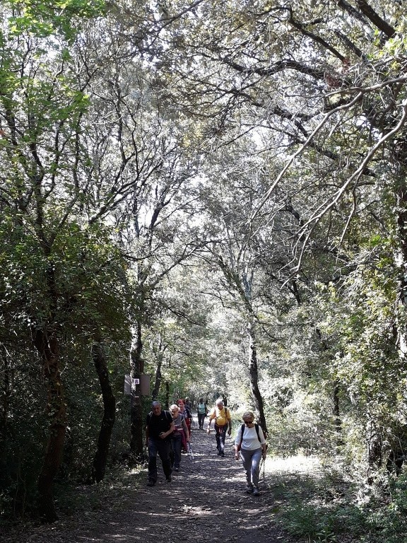 Mérindol- Gorges de Régalon - Samedi 5 mai 2018 PF2OvM