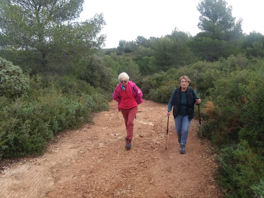 Marche du Téléthon-Samedi 4 décembre 2021 PMYh0R