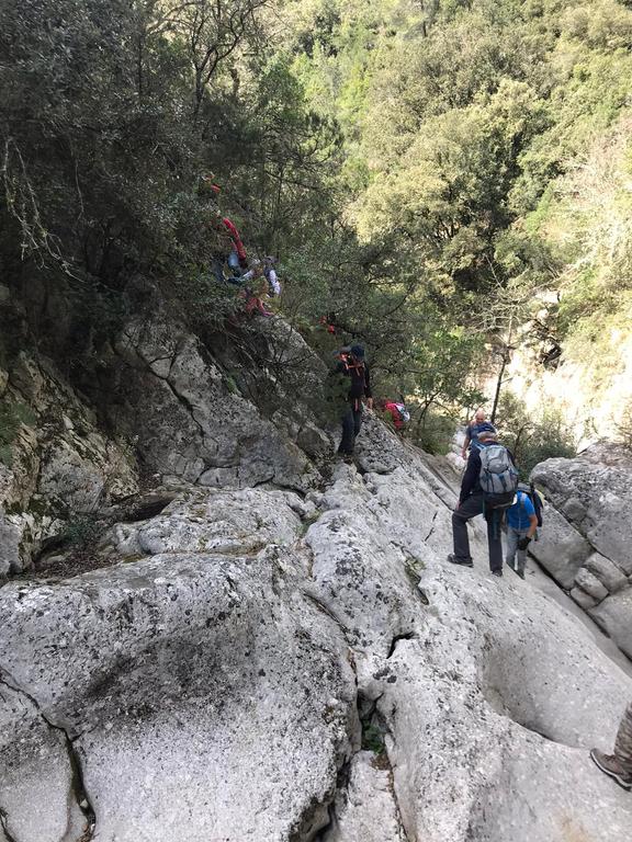 Ollioules-Les Cuves du Destel-Jeudi 25 mars 2021 QCyhgb