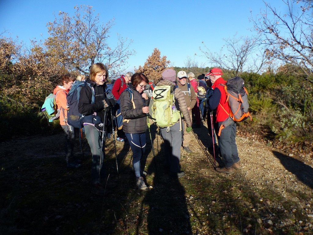 Pichauris-Plateau de l'Aroumi-Jeudi 2 décembre 2021 RiWwAs