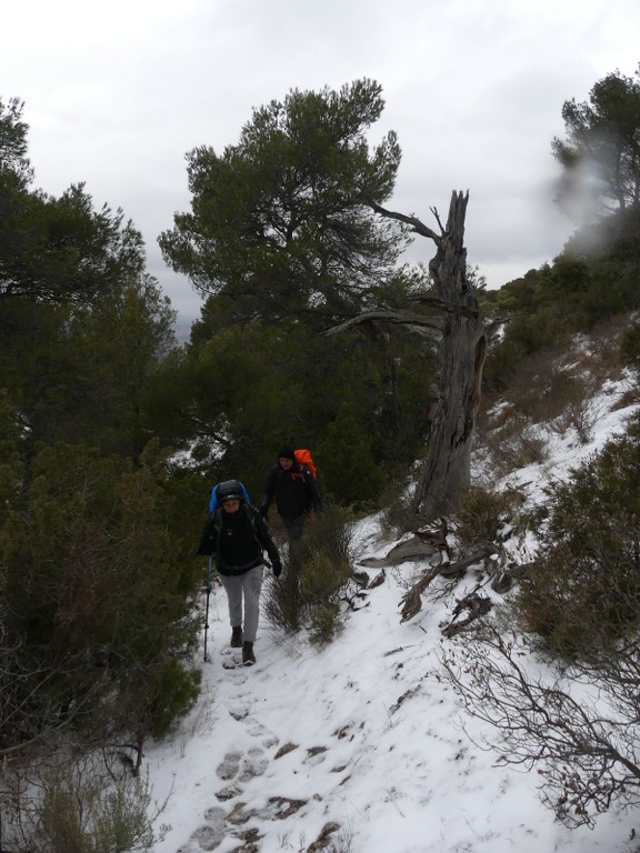 Meyrargues-Ligourès-Jeudi 1er mars 2018 TTZT5e