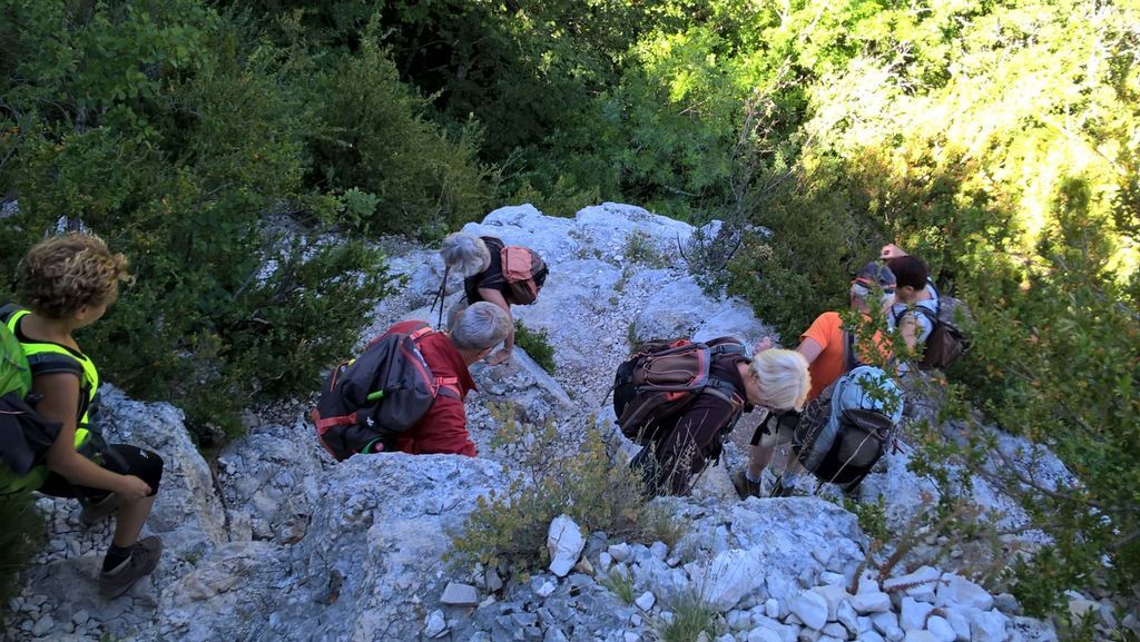 Verdon-Sentiers de l'Imbut et Vidal-Jeudi 8 juin 2017 VizJx8