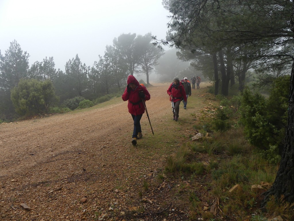 Garlaban-Lascours-Grand Vallon (les Cuvettes)-Jeudi 5 mars 2020 VsBo8x