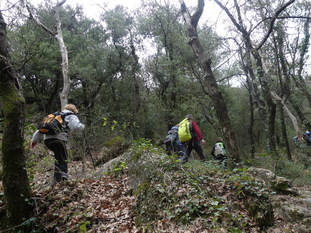 Mont Aurélien-Jeudi 13 février 2020 WWAHJn