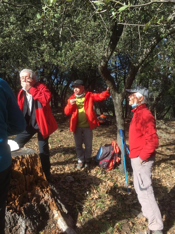 Gardanne-La Petite Pourcelle-Jeudi 28 janvier 2021 Wl6Uxx