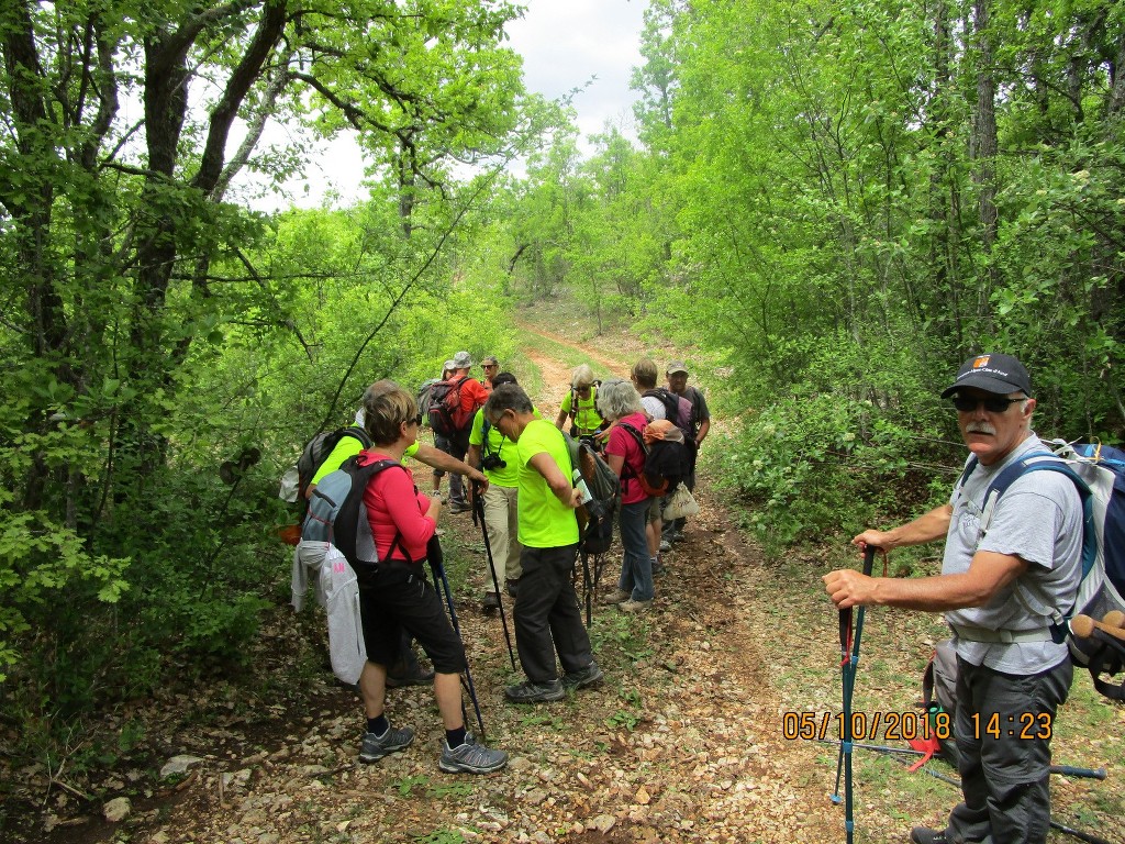 St Saturnin-lès-Apt-Baume Roustan-Jeudi 10 mai 2018 XeCRIf