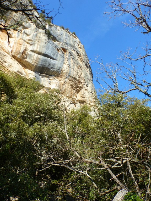 Buoux-Crêtes Lubéron-Aiguebrun-Jeudi 24 mars 2022 YYP5lQ