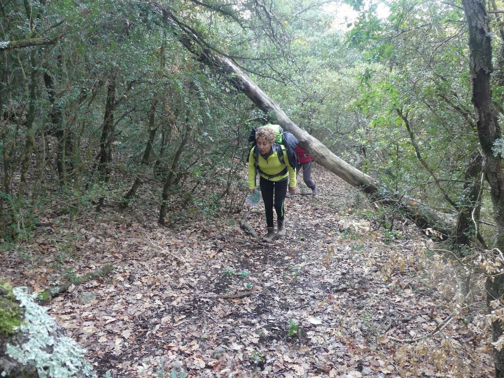 Lubéron-Vallon de l'Arc-Arche du Portalas-Jeudi 9 novembre 2017 YbJRem