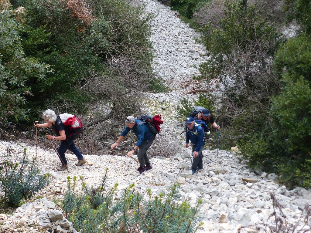 Lubéron-Vallon du Roumiguier, gorges de Régalon-Jeudi 10 mars 2022 Z3Yx9i