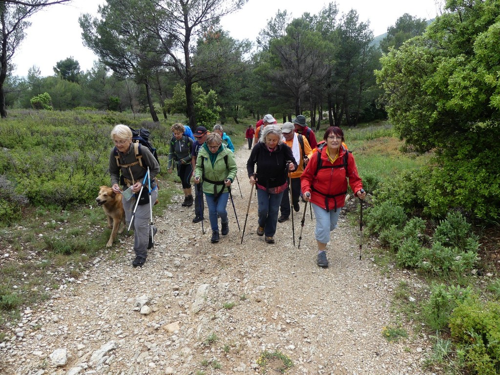 Cuges-Les 3 Jas-Jeudi 31 mai 2018 0fNIc7