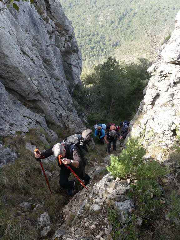 Méounes-Montrieux-Le Grand Puy-Jeudi 15 mars 2018 3LHjSb