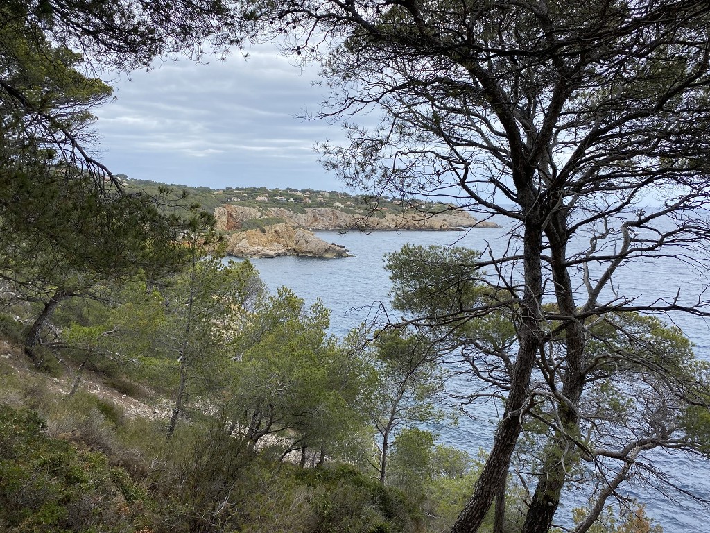 La Madrague-Port d'Alon-Jeudi 23-juin 2022 3fKO4O