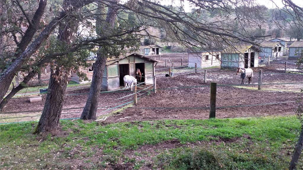 Gardanne-La Petite Pourcelle-Jeudi 28 janvier 2021 3yeJpN