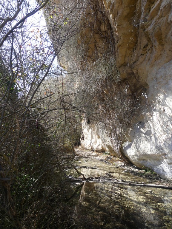 Buoux-Crêtes du Lubéron-Jeudi 22 mars 2018 4Ze5d4