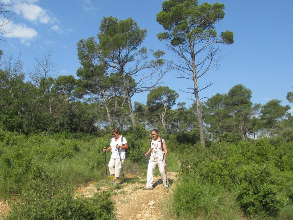 Calas - Jeudi matin 21 juin 2018 5TLbcV