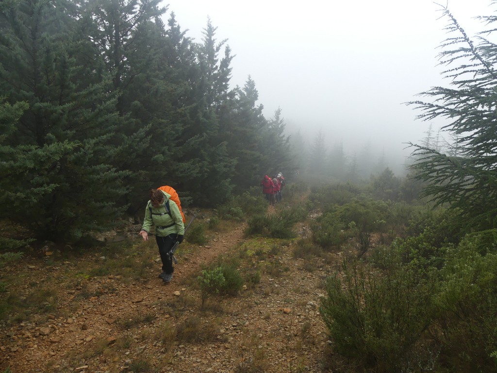 Garlaban-Lascours-Grand Vallon (les Cuvettes)-Jeudi 5 mars 2020 6lPlNE