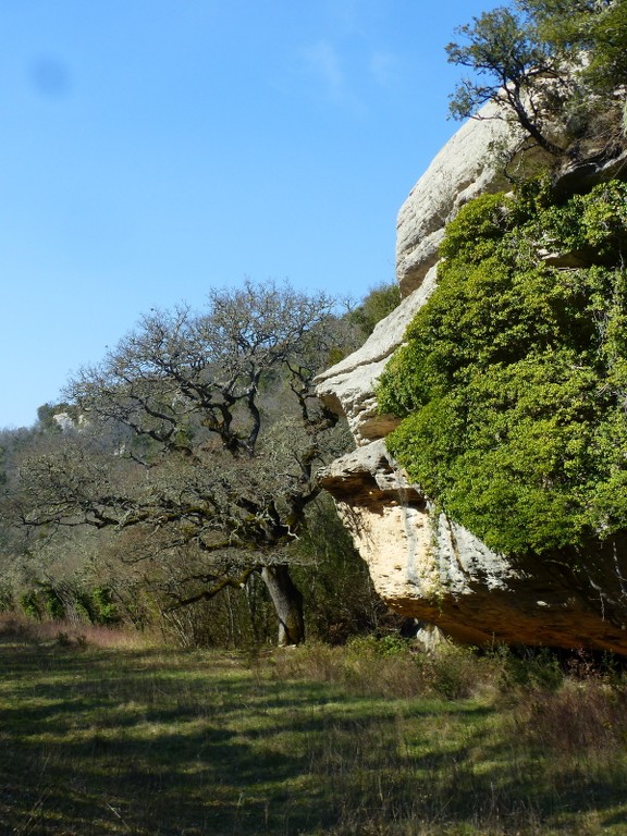 Buoux-Crêtes Lubéron-Aiguebrun-Jeudi 24 mars 2022 6uJlej