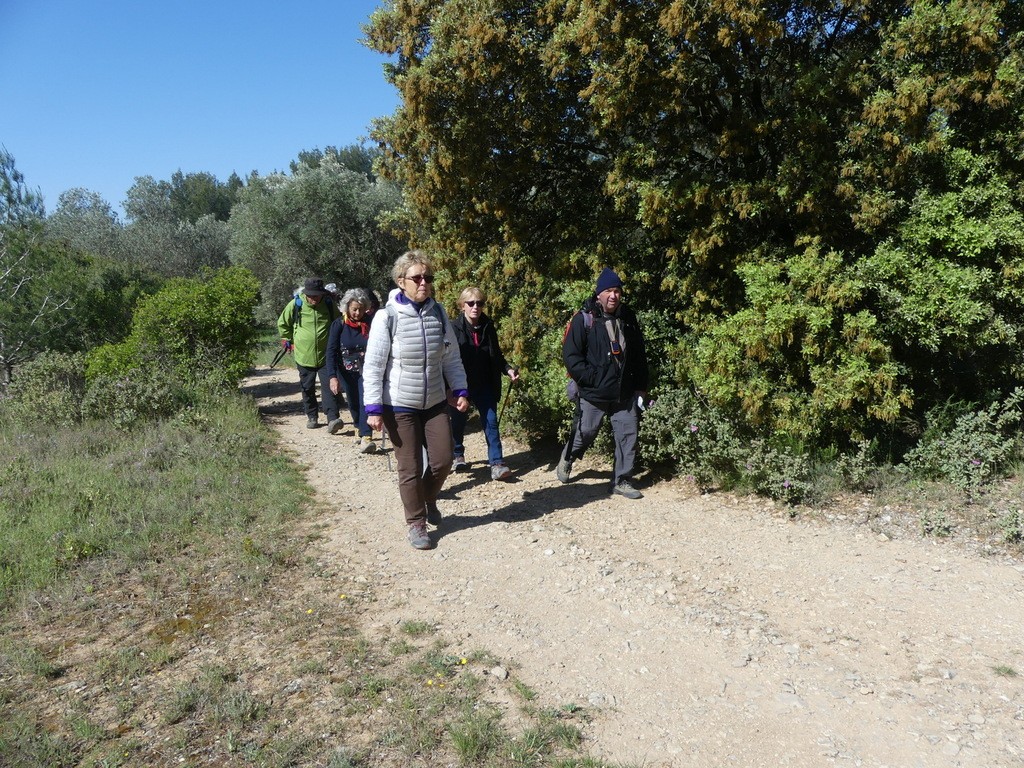 Randonnée culture alentours de Fontvieille-Lundi 6 mai 2019 AIaNlE