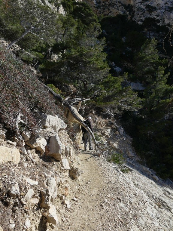 Mont Puget par l'Œil de Verre-Jeudi 20 février 2020 ANFK2w