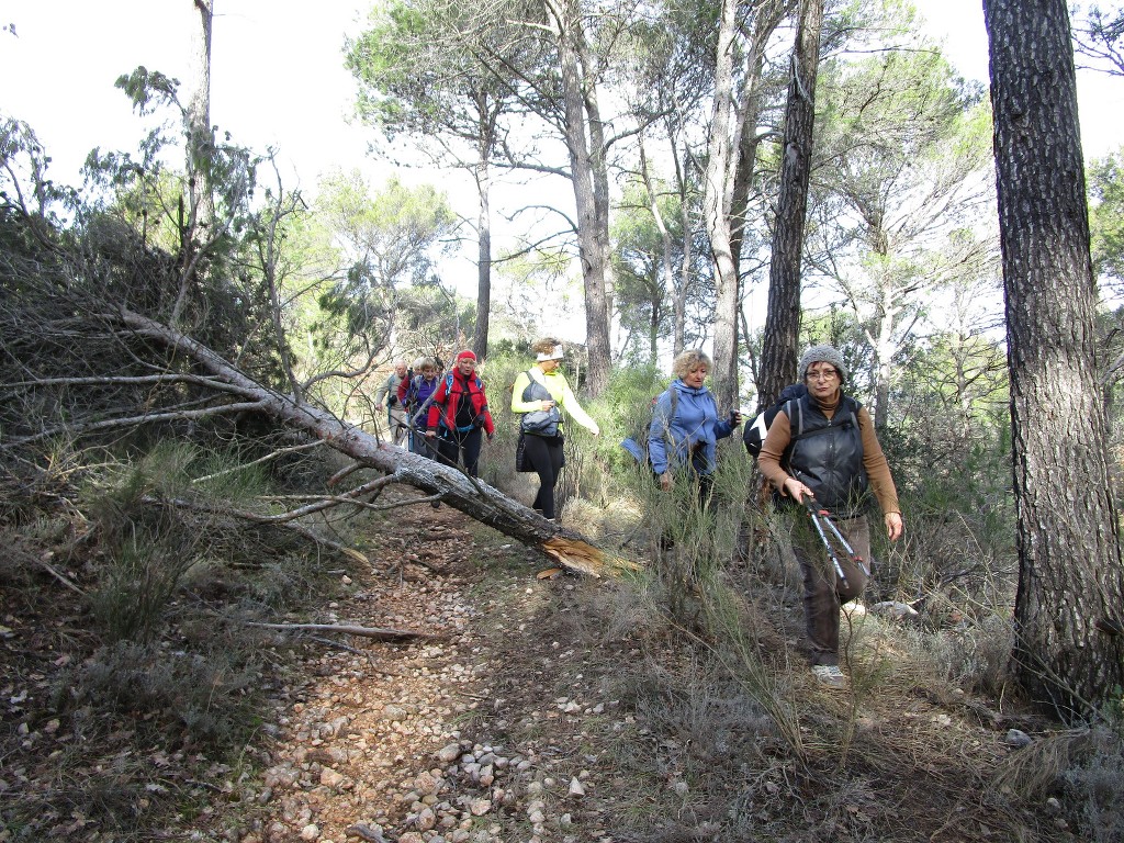 Sources de l'Huveaune-Rocs du Cayre-Jeudi 7 février 2019 AexeVW