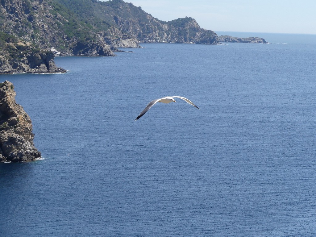 Porquerolles-Jeudi 14 juin 2018 AvGzit