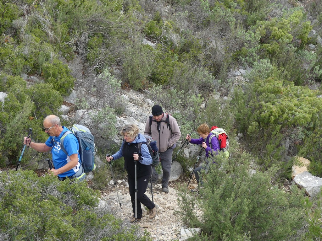 Pichauris-Plateau de l'Aroumi-Jeudi 5 décembre 2019 CbjhZM