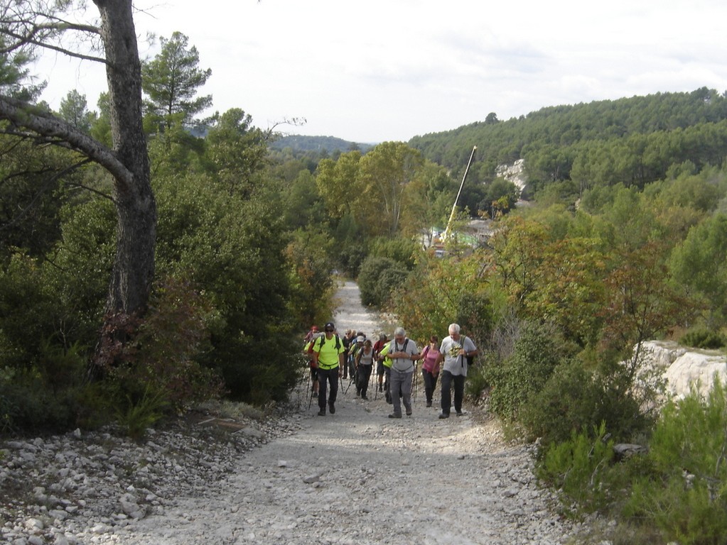 Bouc Bel Air - Jeudi 18 octobre 2018 E1dgFF