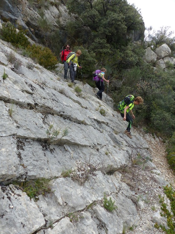 Dentelles de Montmirail-Jeudi 31 mars 2016 EYv1zy