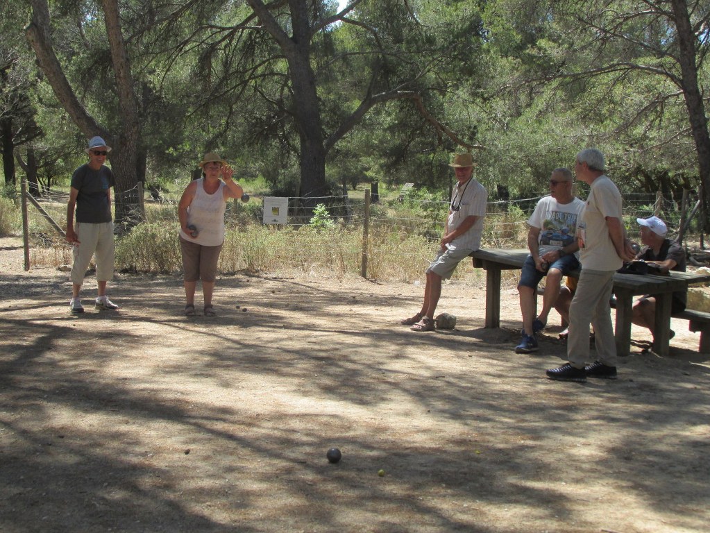 Sortie familiale de fin de saison à la forêt de Castillon-Samedi 11 juin 2022 ElmDOc