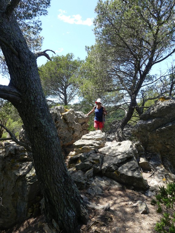 Porquerolles-Jeudi 14 juin 2018 FdgFHM