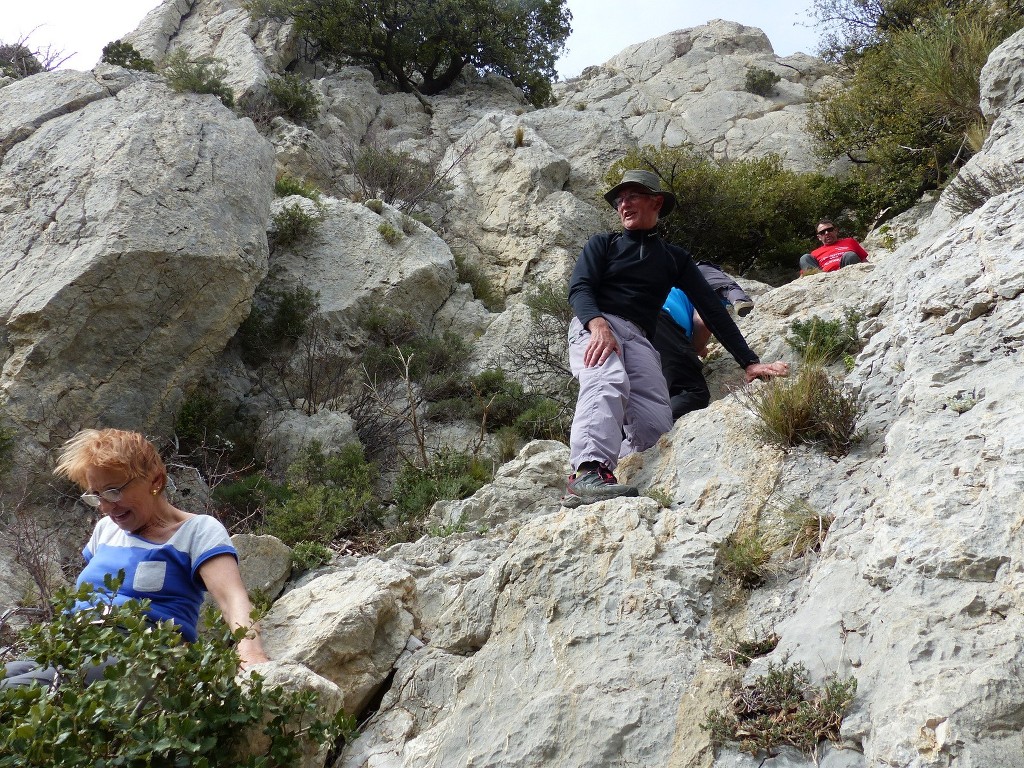 Dentelles de Montmirail-Jeudi 31 mars 2016 IX321n