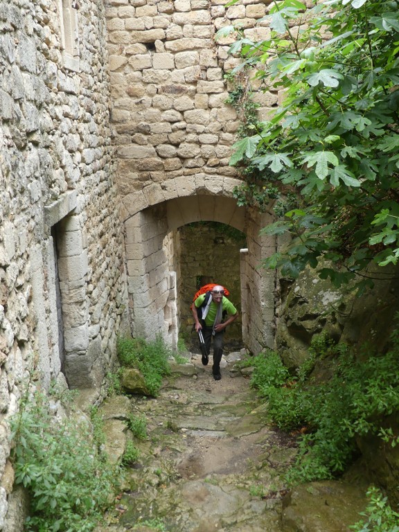 Oppède-Forêt des Cèdres-Jeudi 7 juin 2018 IcfDW8